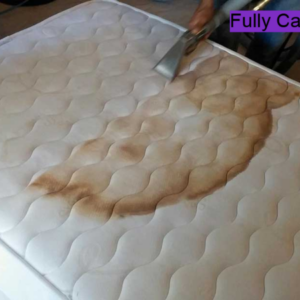 Special Mattress Cleaning