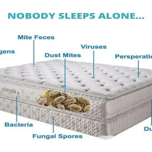 What’s In My Mattress?