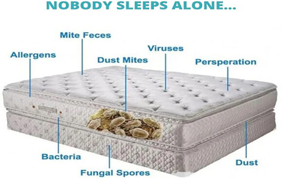What’s In My Mattress?