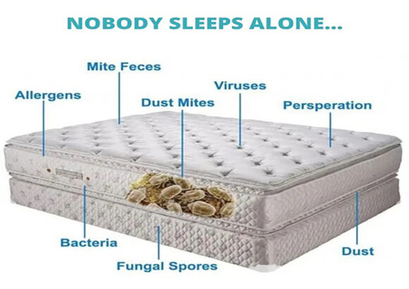 What’s In My Mattress?