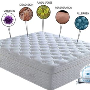 What’s In My Mattress?