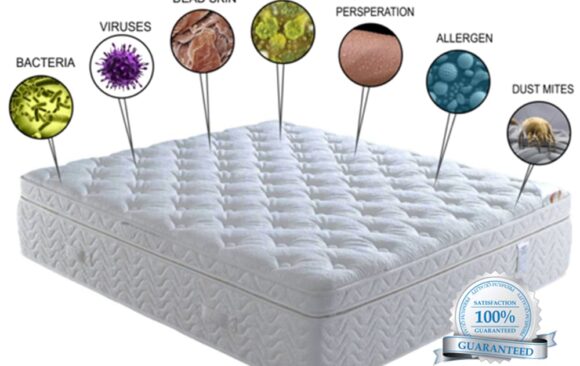 What’s In My Mattress?